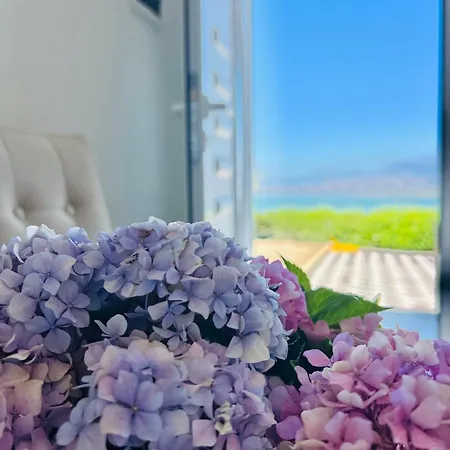 Гостевой дом Iart 3*