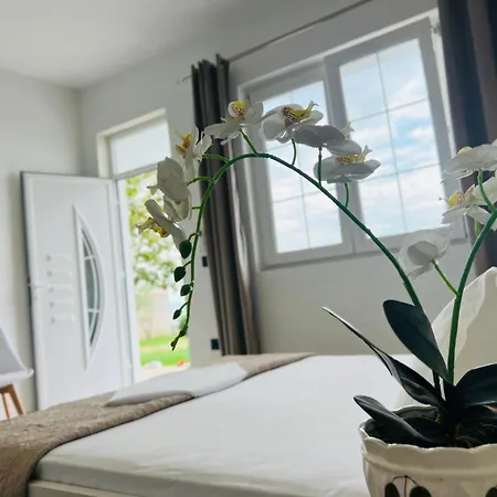 Гостевой дом Iart 3*