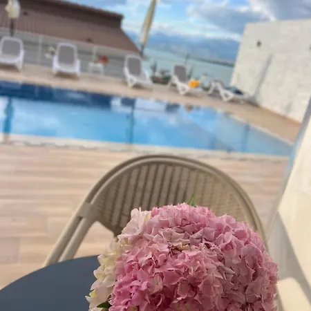 Iart Гостевой дом 3*