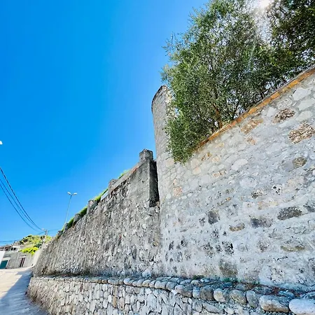Iart Shirokë