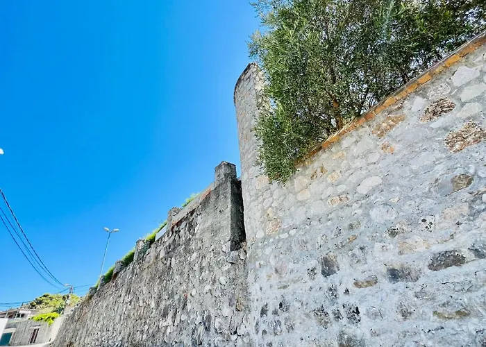 Iart Široka